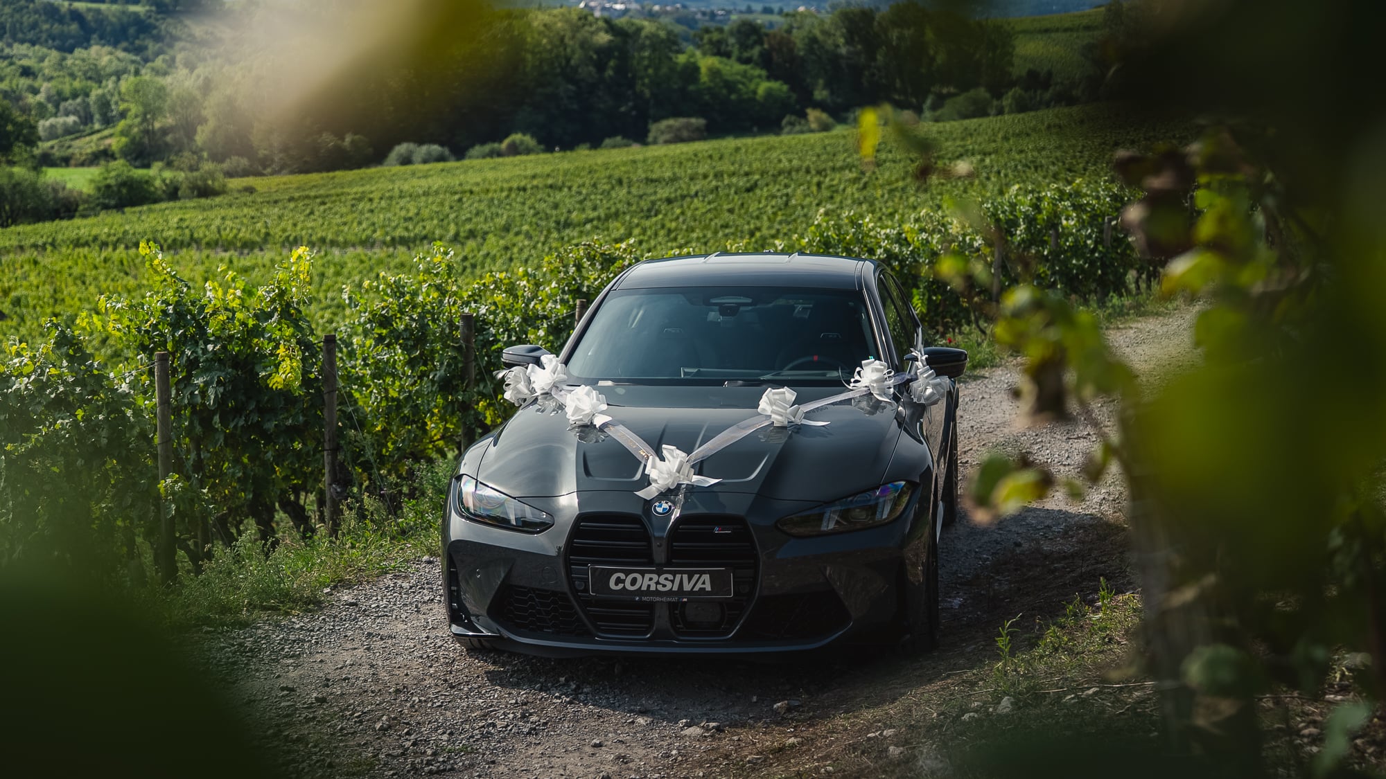 BMW M3 Competition décorée, dans les vignes de Savoie